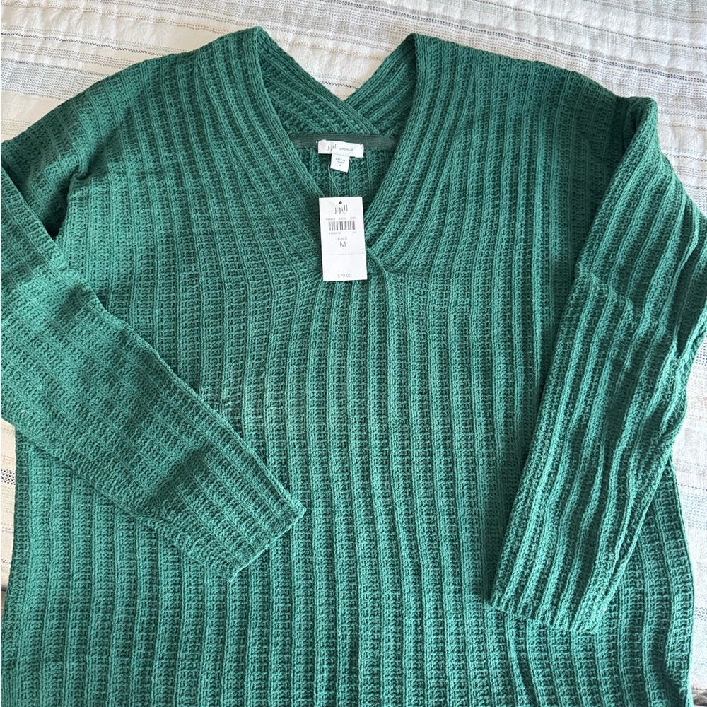 J. Jill Green V-Neck Women's Sweater